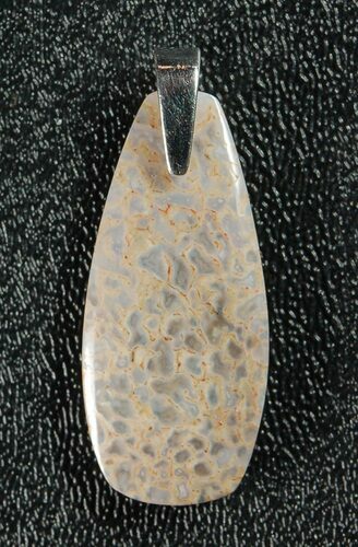 Gorgeous, Agatized Dinosaur Bone (Gembone) Pendant #84758